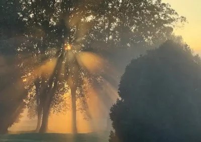 Compet_des_jardiniers-2025