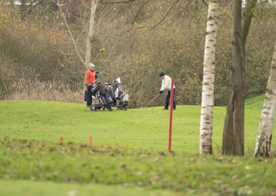 Beaujolais_nouveau_2025