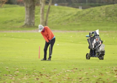 Beaujolais_nouveau_2025