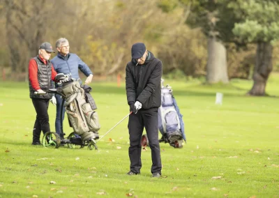 Beaujolais_nouveau_2025