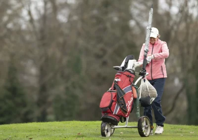 Beaujolais_nouveau_2025