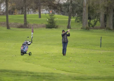 Beaujolais_nouveau_2025