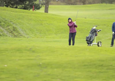 Beaujolais_nouveau_2025