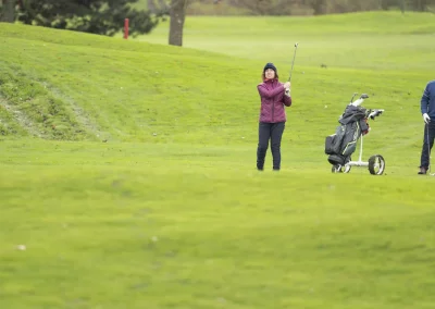 Beaujolais_nouveau_2025