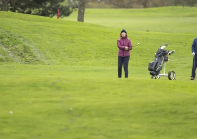 Beaujolais_nouveau_2025