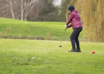 Beaujolais_nouveau_2025