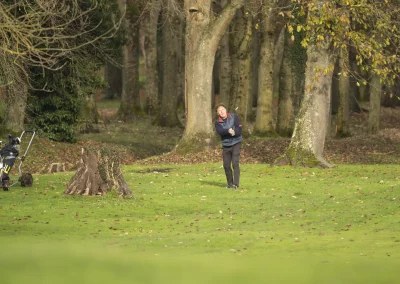 Beaujolais_nouveau_2025