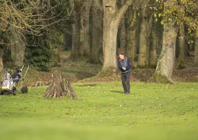 Beaujolais_nouveau_2025