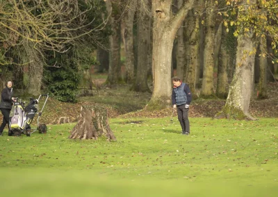 Beaujolais_nouveau_2025