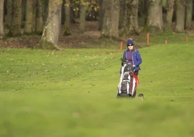 Beaujolais_nouveau_2025