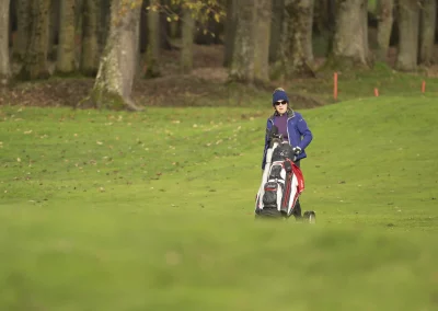 Beaujolais_nouveau_2025