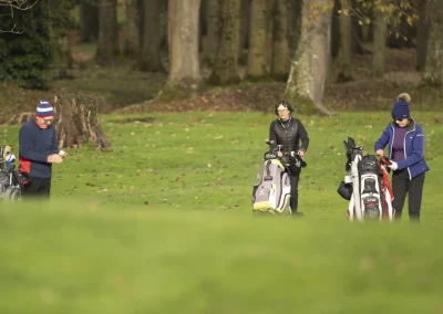 Beaujolais_nouveau_2025