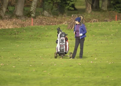 Beaujolais_nouveau_2025