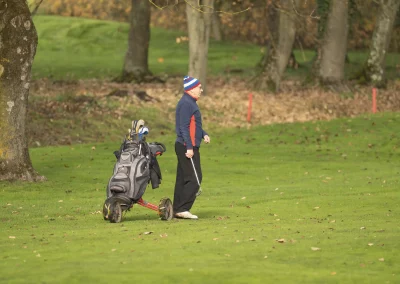 Beaujolais_nouveau_2025