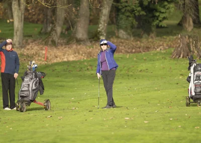 Beaujolais_nouveau_2025