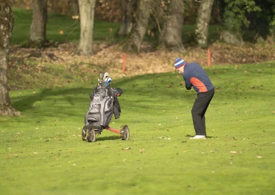 Beaujolais_nouveau_2025