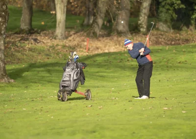 Beaujolais_nouveau_2025