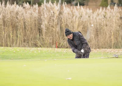 Beaujolais_nouveau_2025