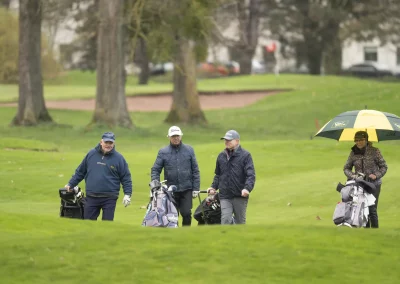 Beaujolais_nouveau_2025