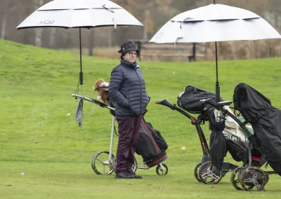 Beaujolais_nouveau_2025