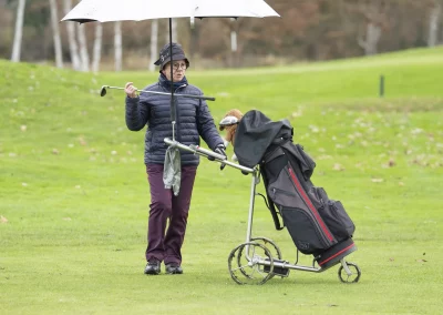 Beaujolais_nouveau_2025